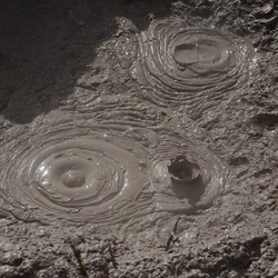 2017-03 New Zealand/Waiotapu/DSC_0231.JPG